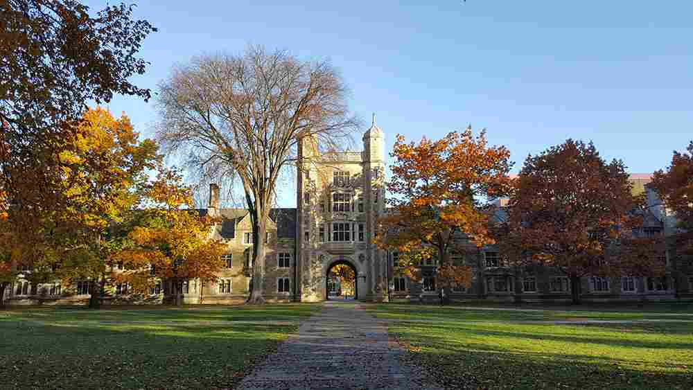 How To Answer UMich's Supplemental Essays 2024/2025 