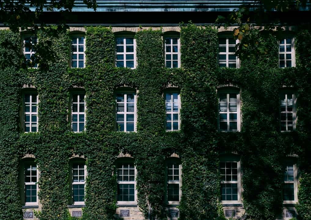 Ivy Day 2025: Everything You Need to Know and Expect