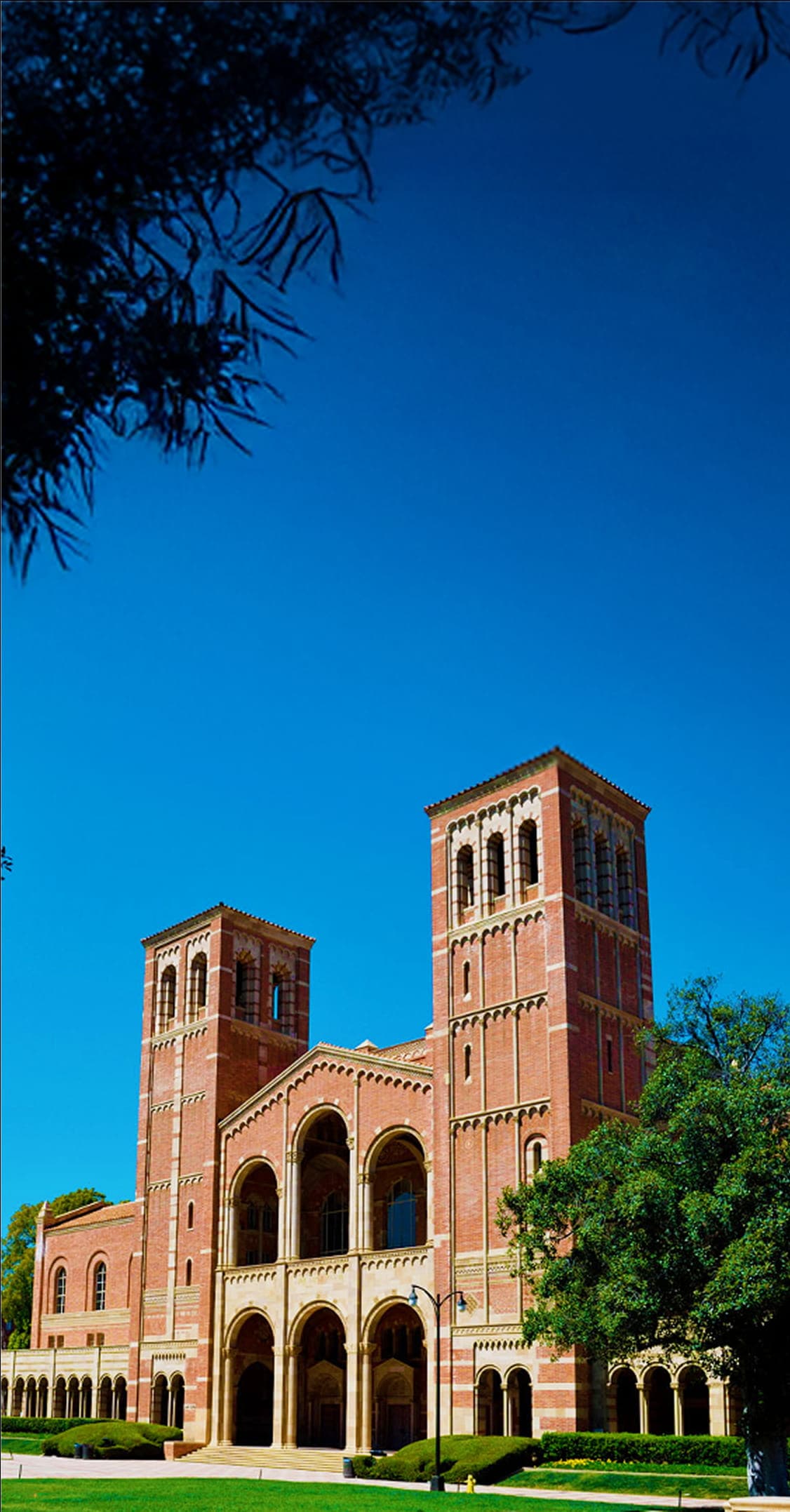 Get into a Top Postgraduate Program with a Plan That Actually Works