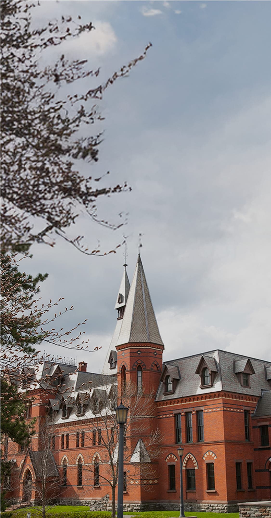 cornell-mobile-375