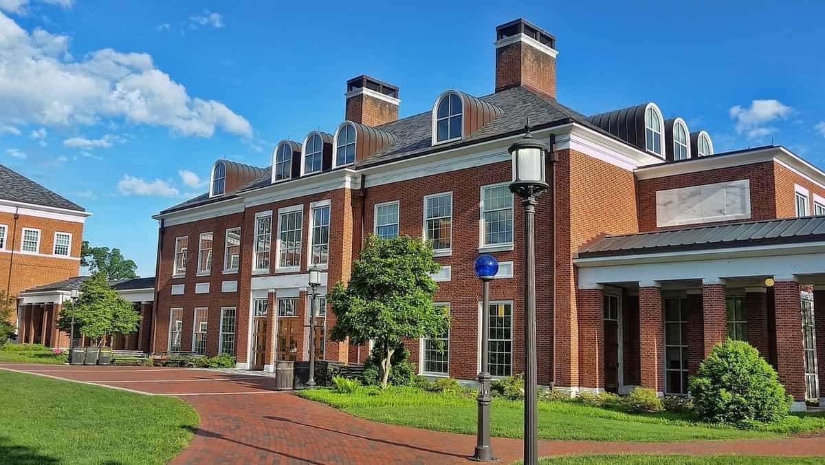 Your Ultimate Guide to the Johns Hopkins Supplemental Essay Prompt 2024