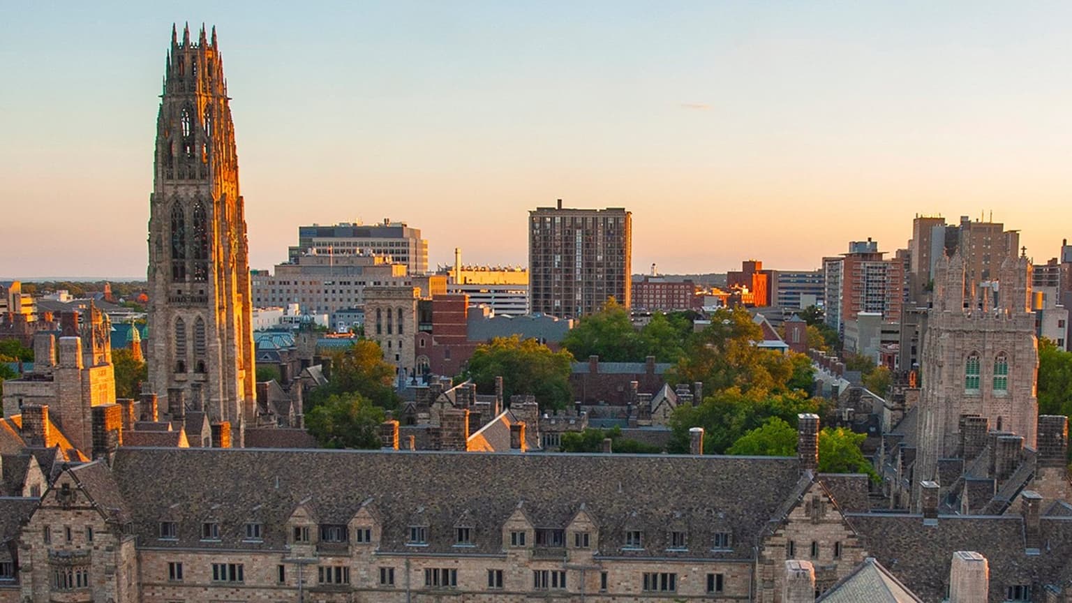 Yale University: Class of 2025 Profile