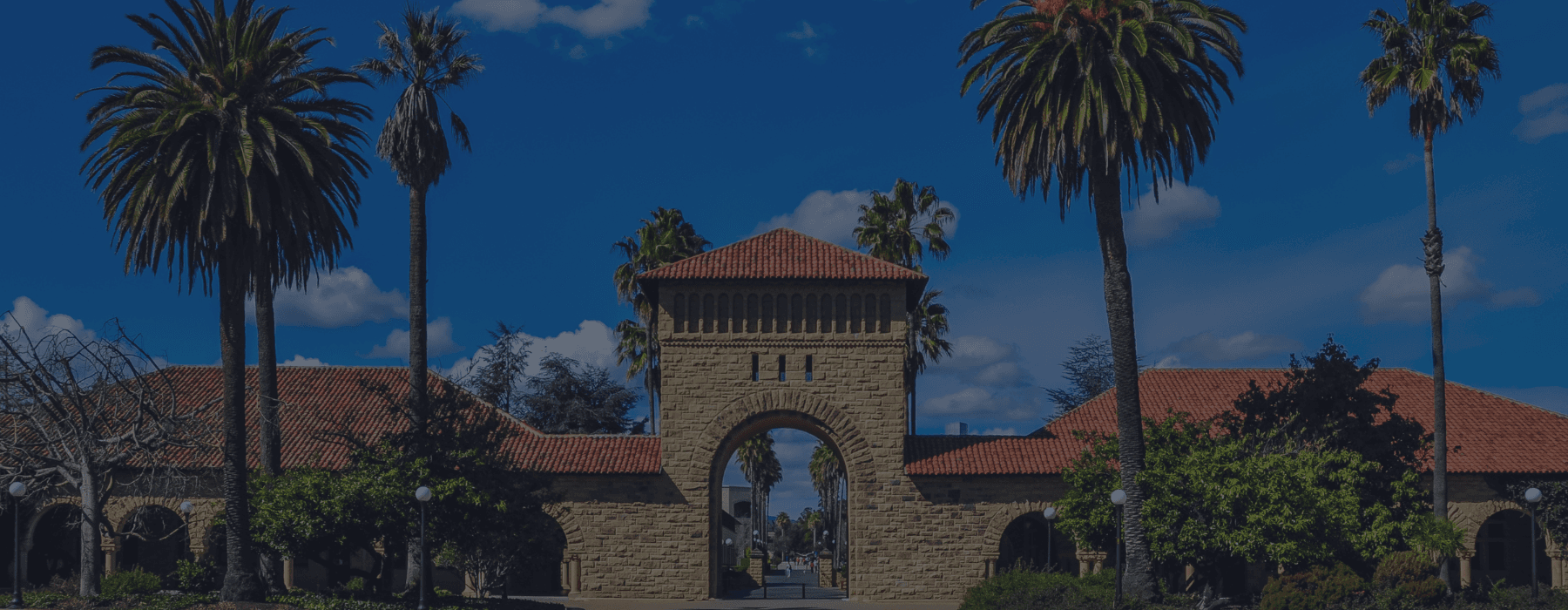 stanford ivy plus universities