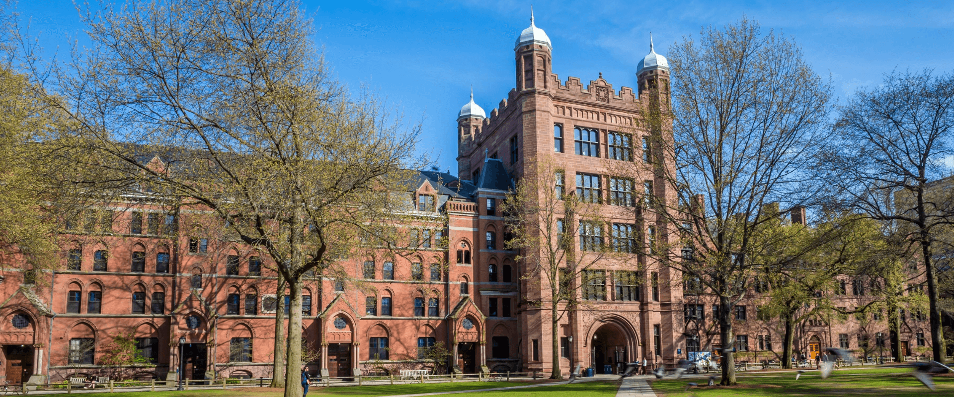 How To Answer Yale's 2023/24 Supplemental Essays: Tips & Insights