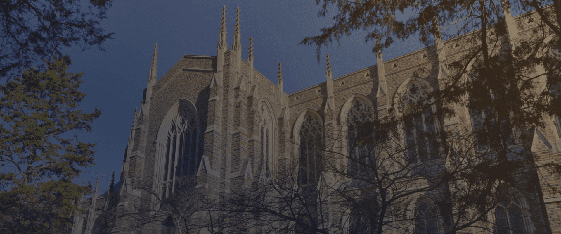 Exemplos de extracurriculares de aluno aceito em Harvard