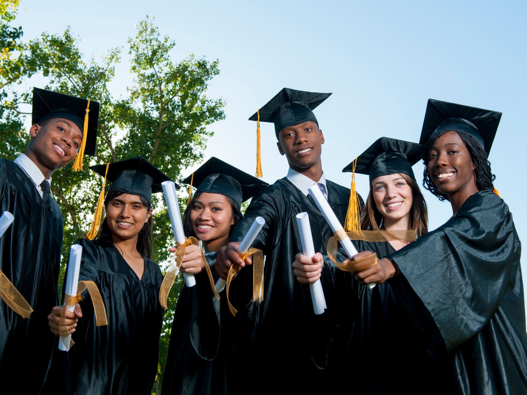 Black Ivy League Schools