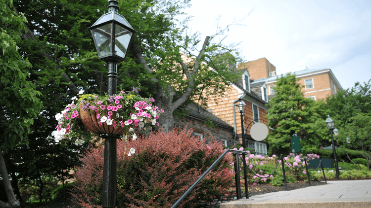 princeton-top-text-and-grid