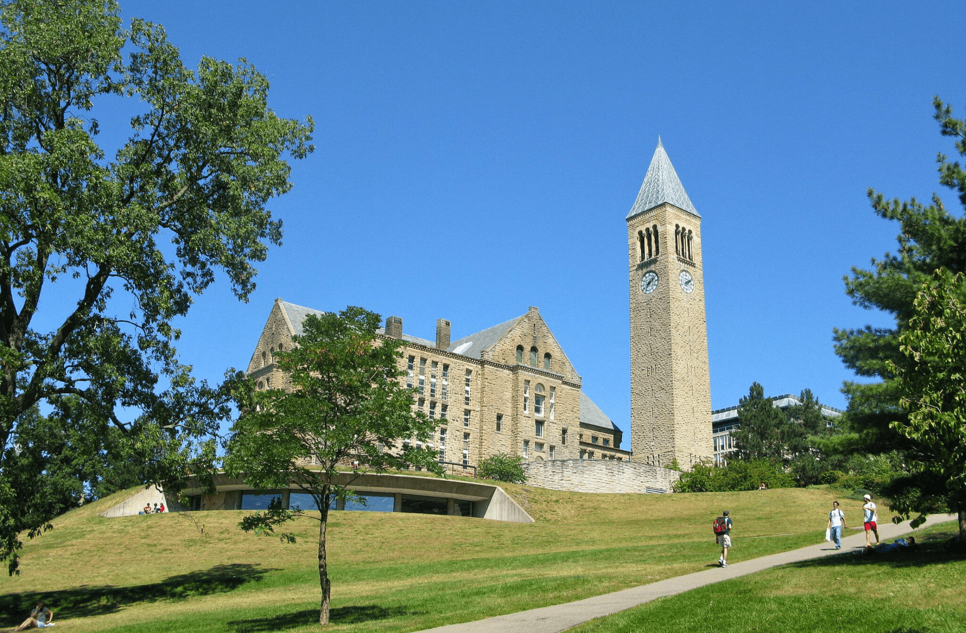 ivy league