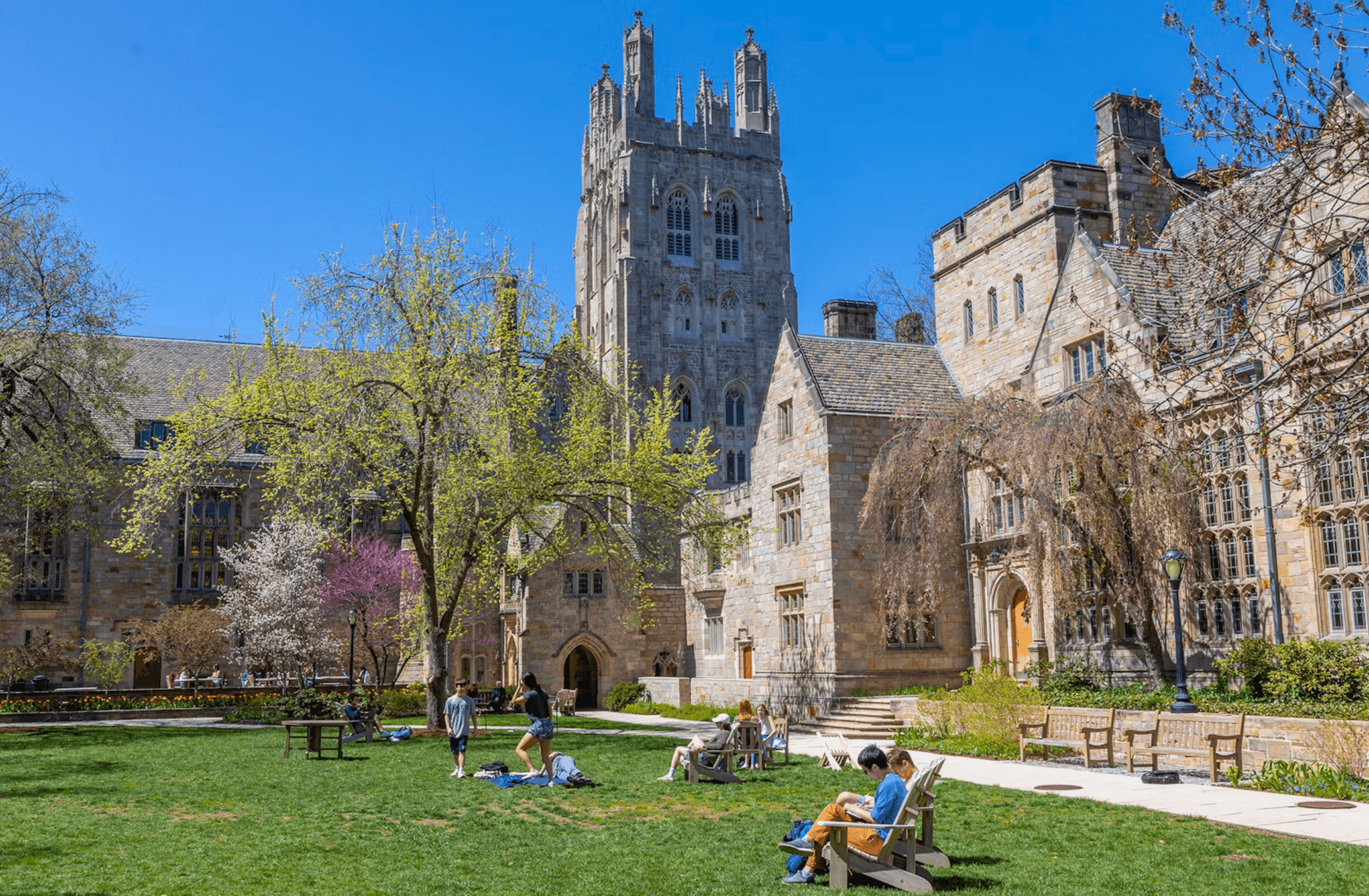 ivy league