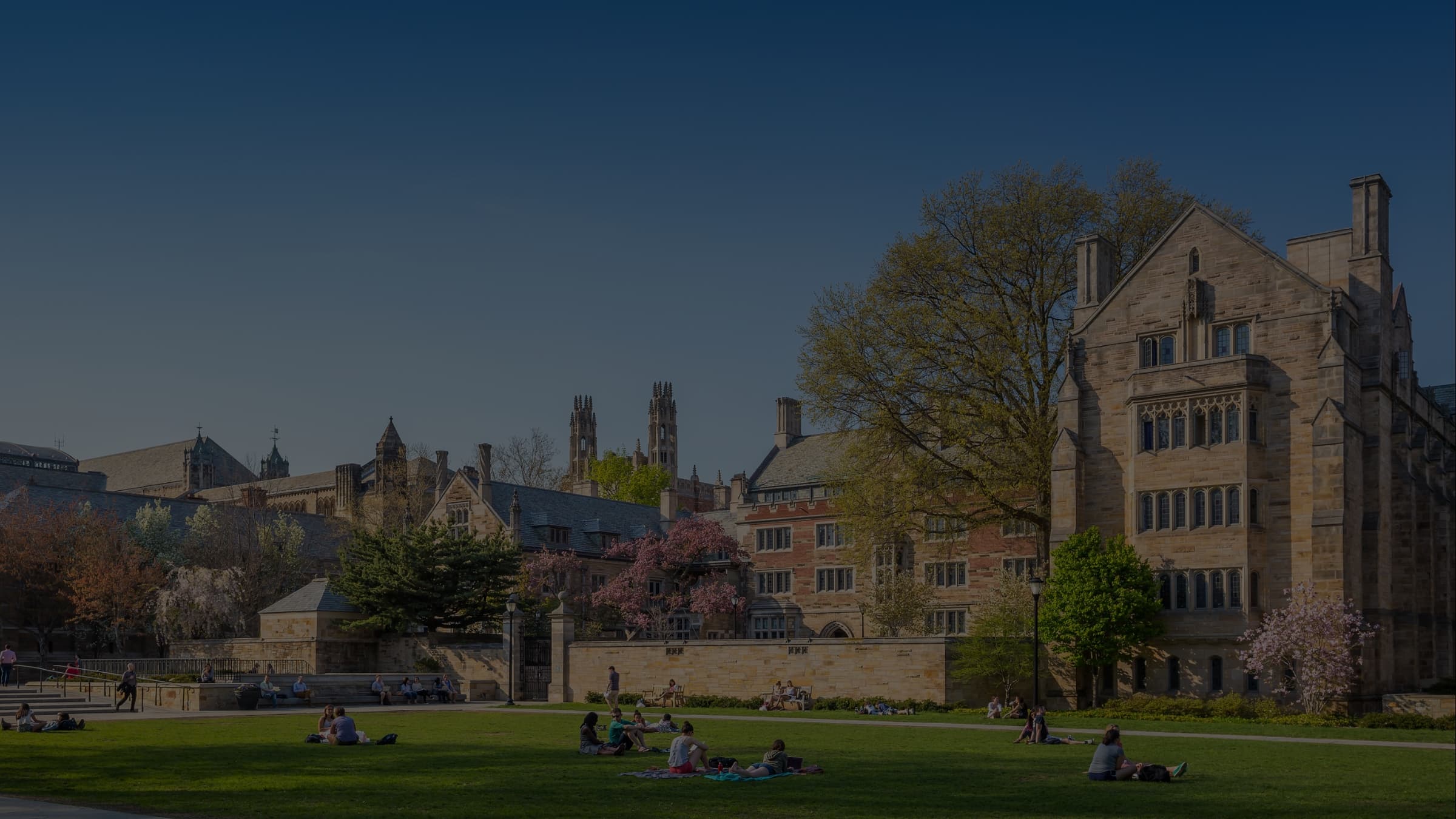 Descubra quais são as melhores faculdades dos Estados Unidos