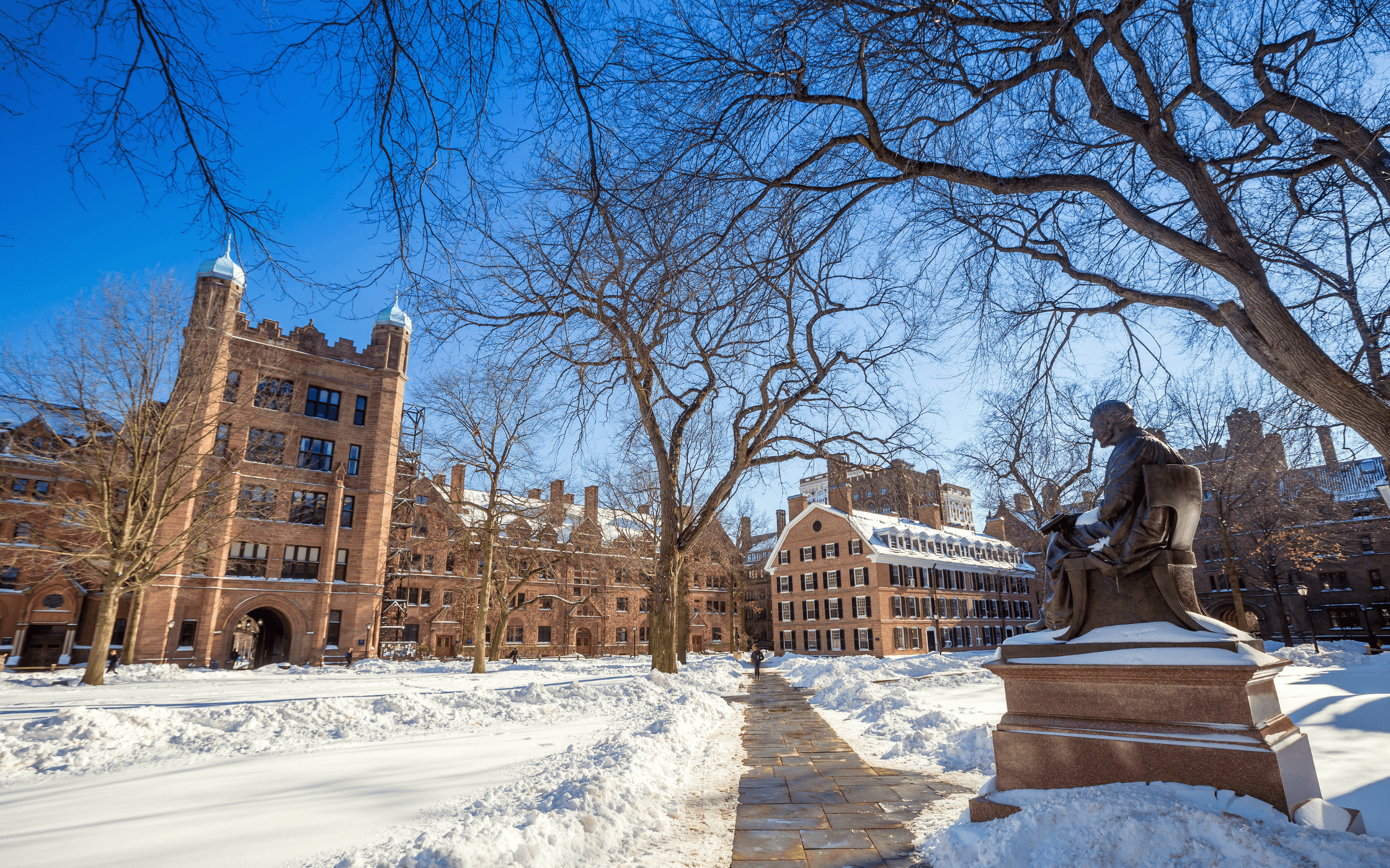 How to Get Accepted Into Your Dream College: 6 Tips from the Experts