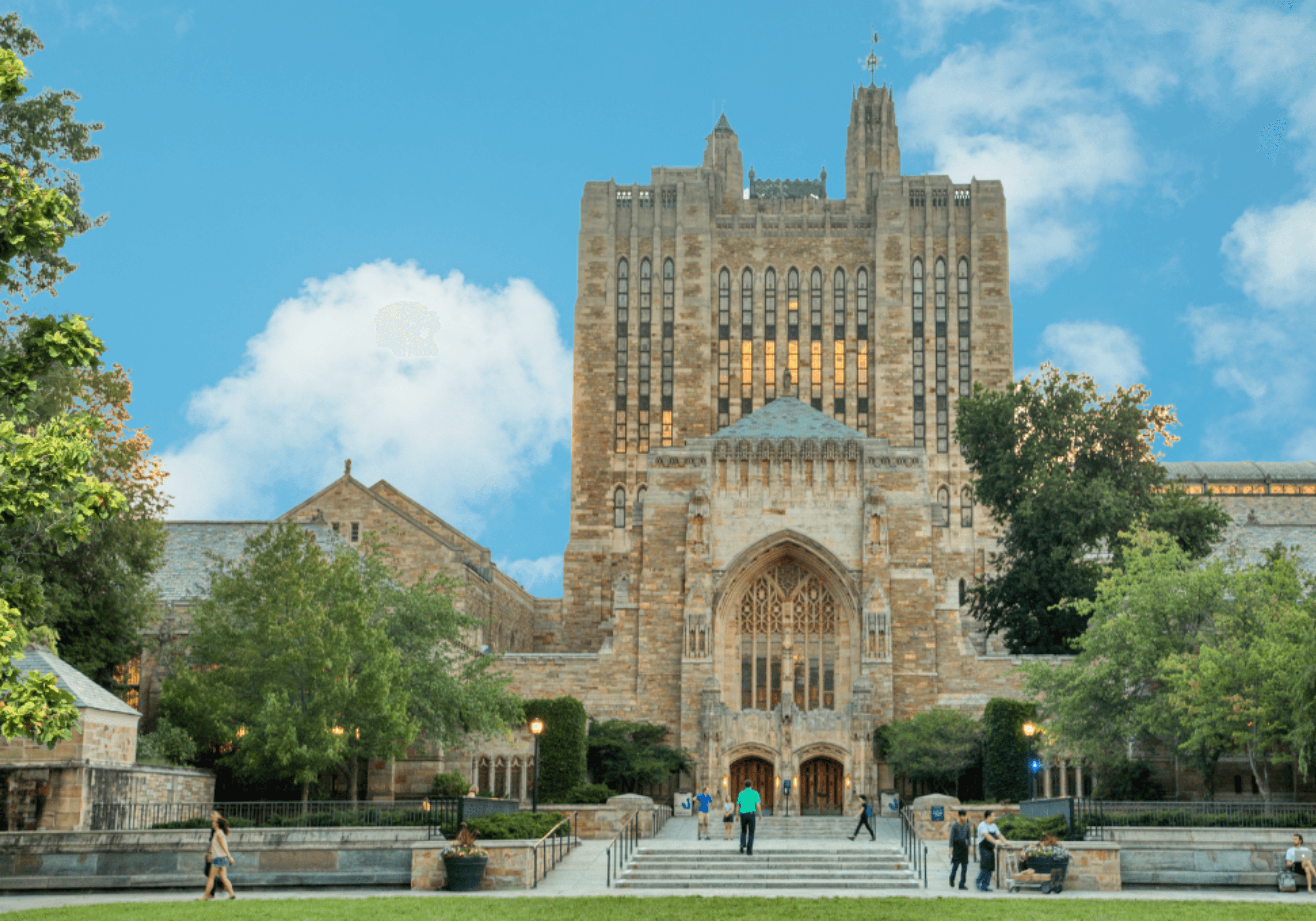 La Ventaja de las Early Admissions y el Impacto de Crimson 