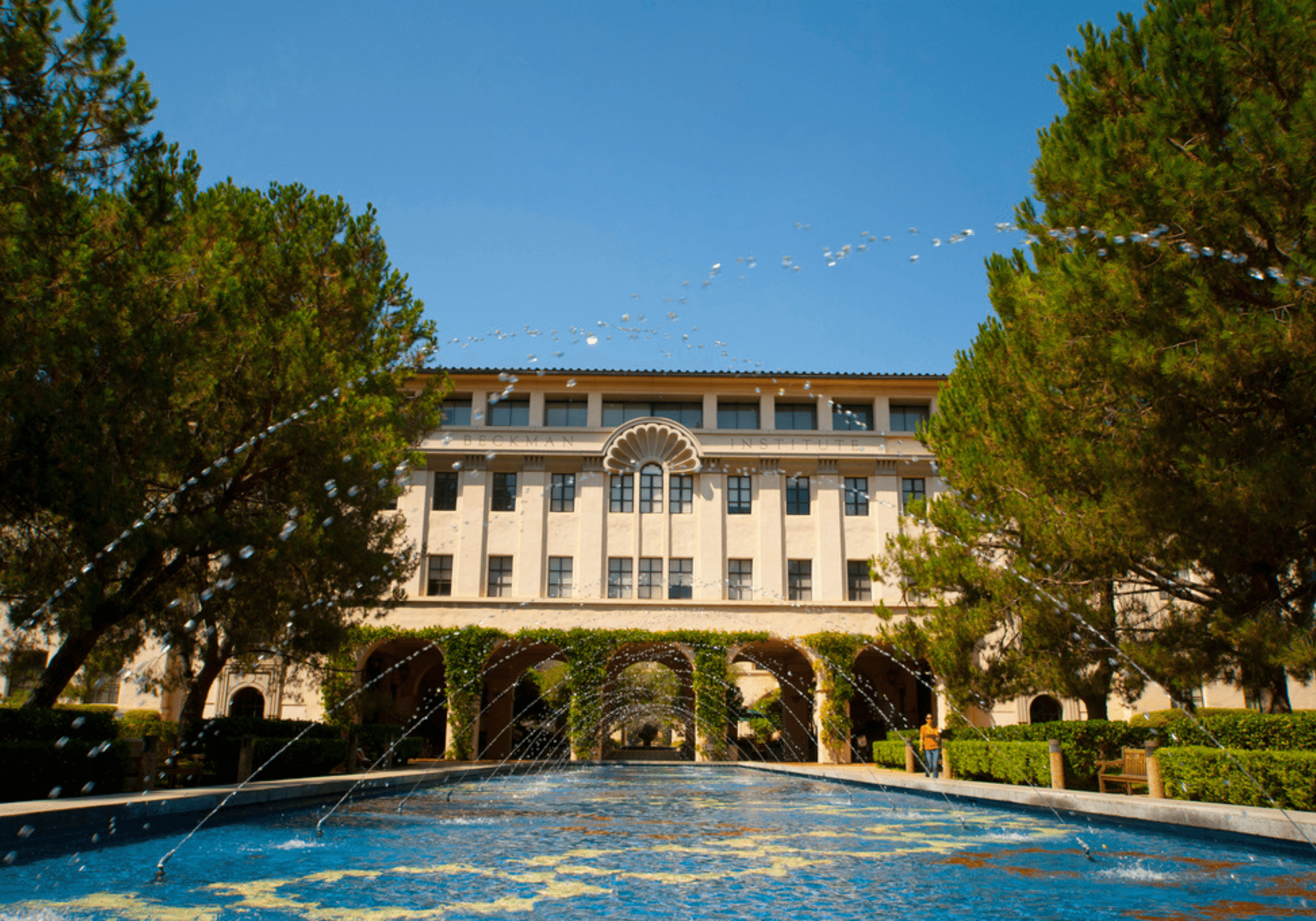 Claves para Destacar en el Proceso de Admisión Universitaria Internacional en tu Último Año Escolar