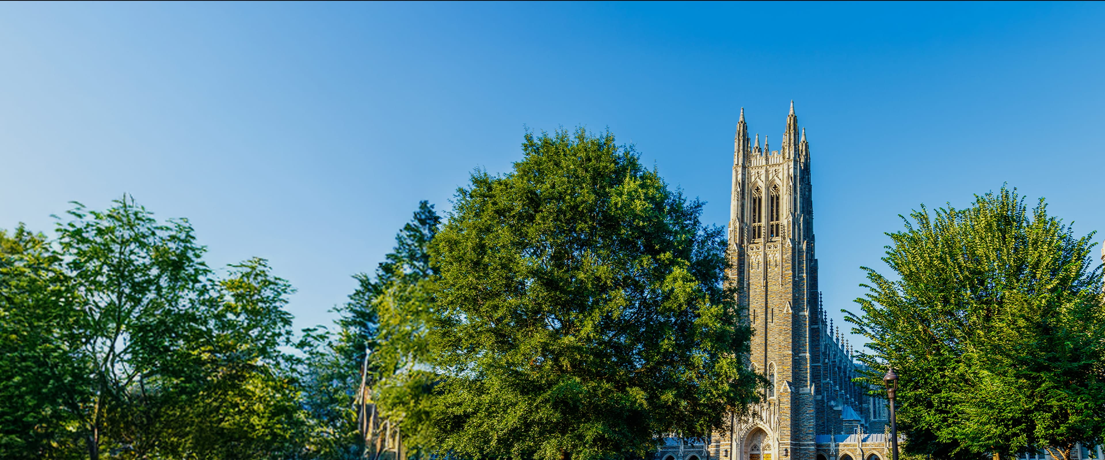 Duke Dreamers: Your Comprehensive Guide To Gaining Admission