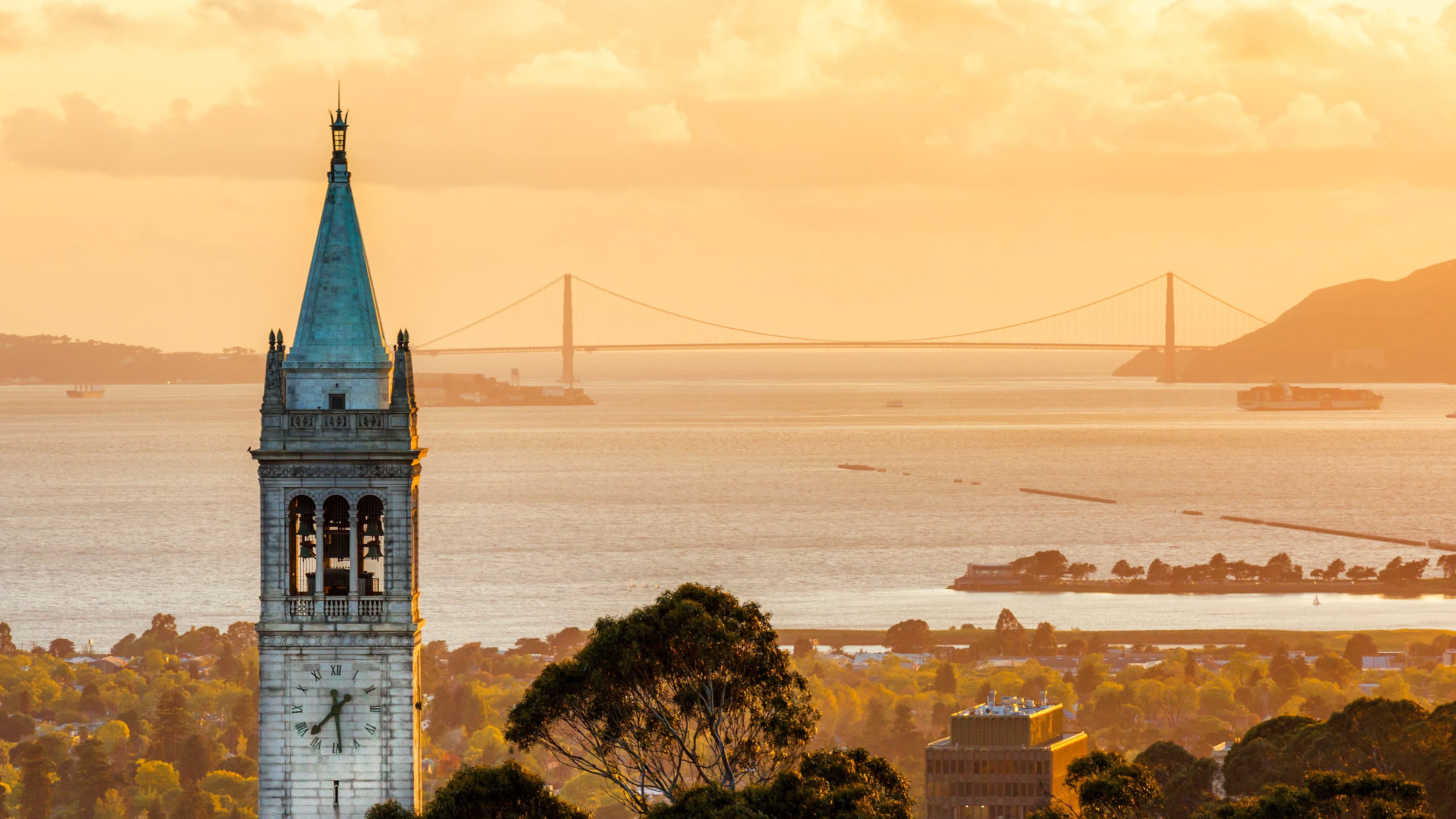 UC Berkeley