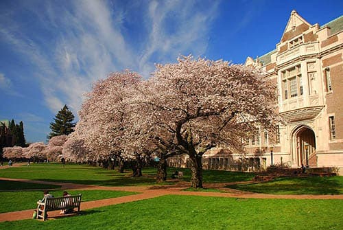 UW Acceptance Rate for the Class of 2028