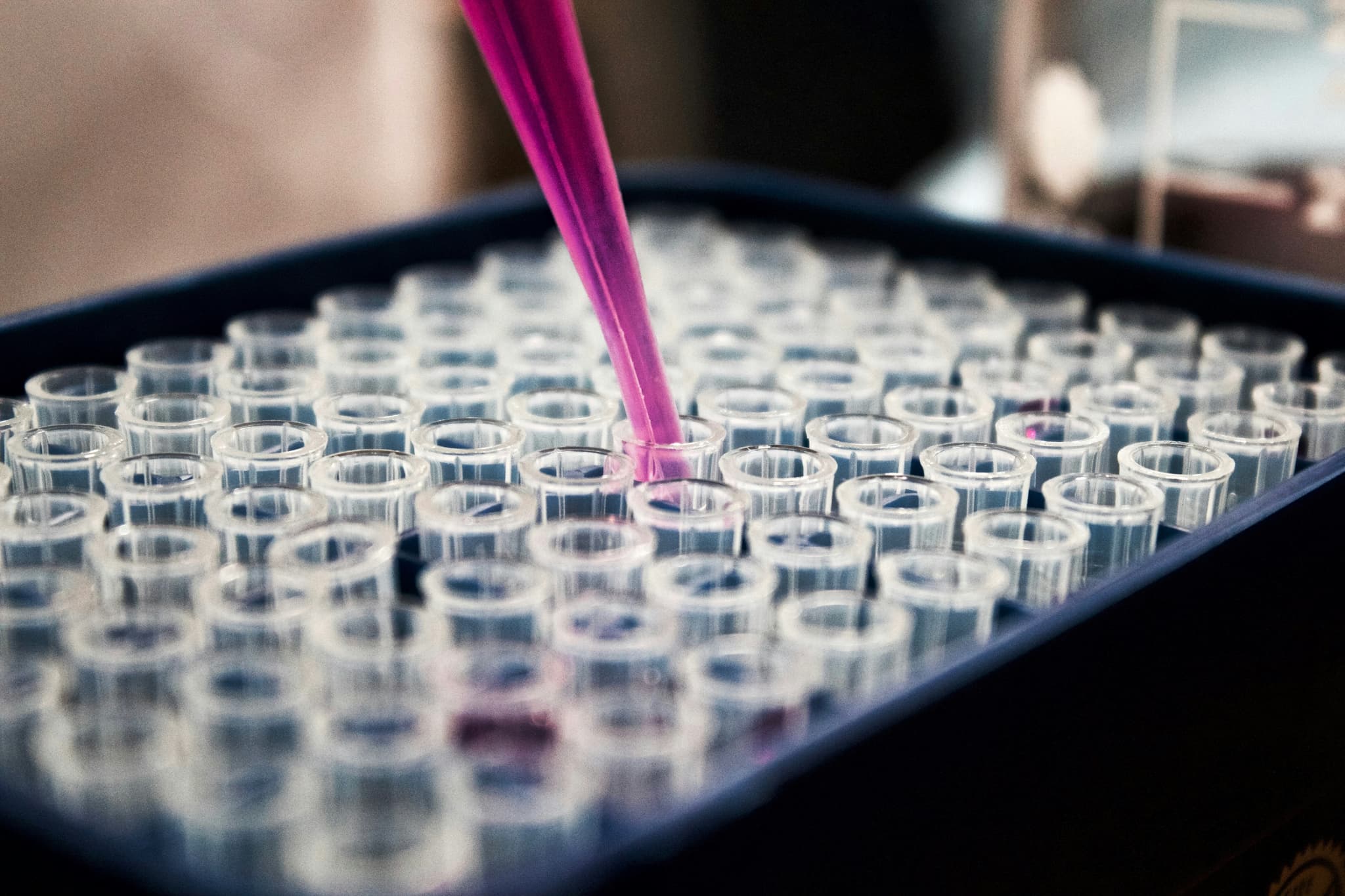 undergraduate-research
