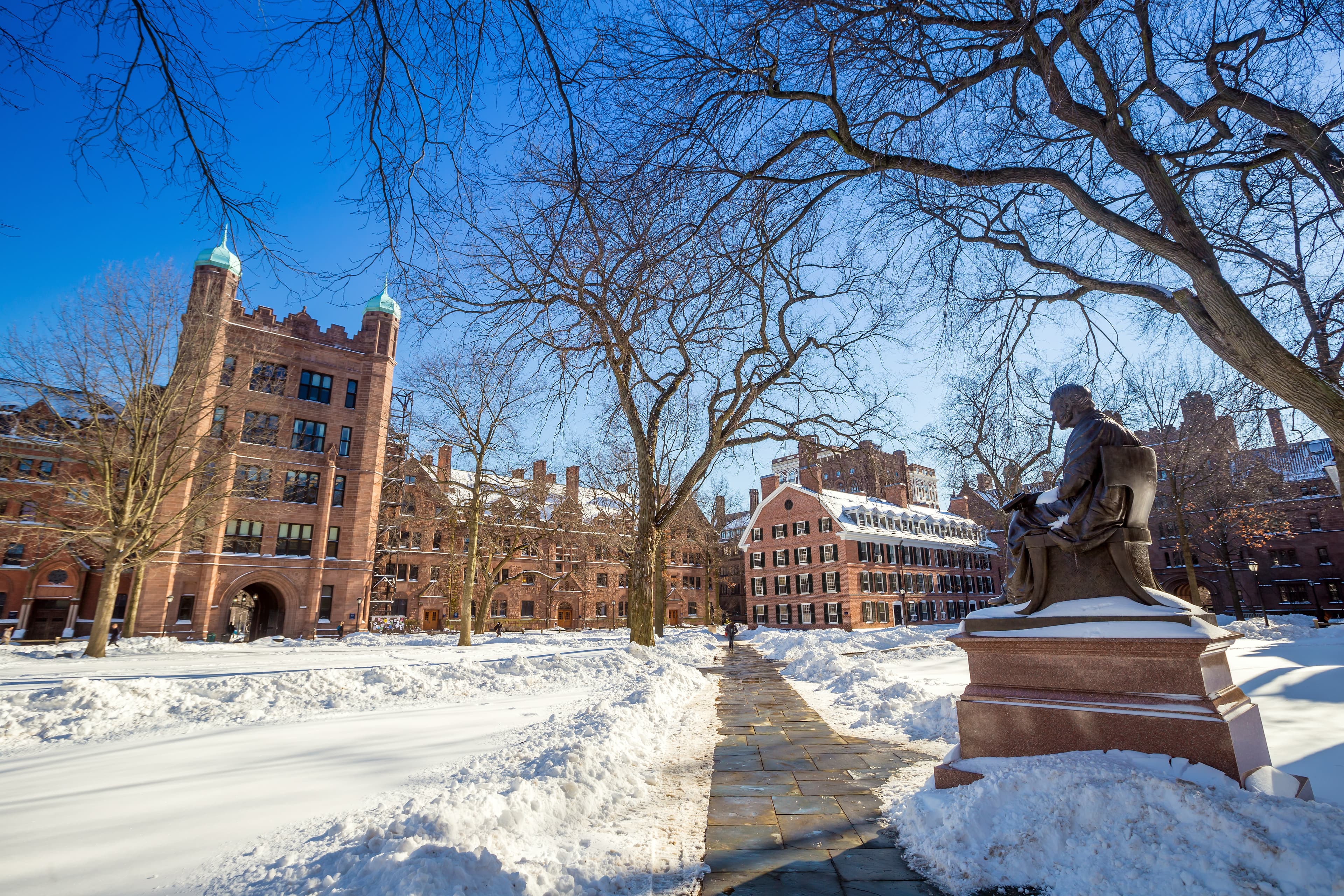 US Admissions 2023-24: Data, Trends, and Analysis for Your Journey to the Ivy League