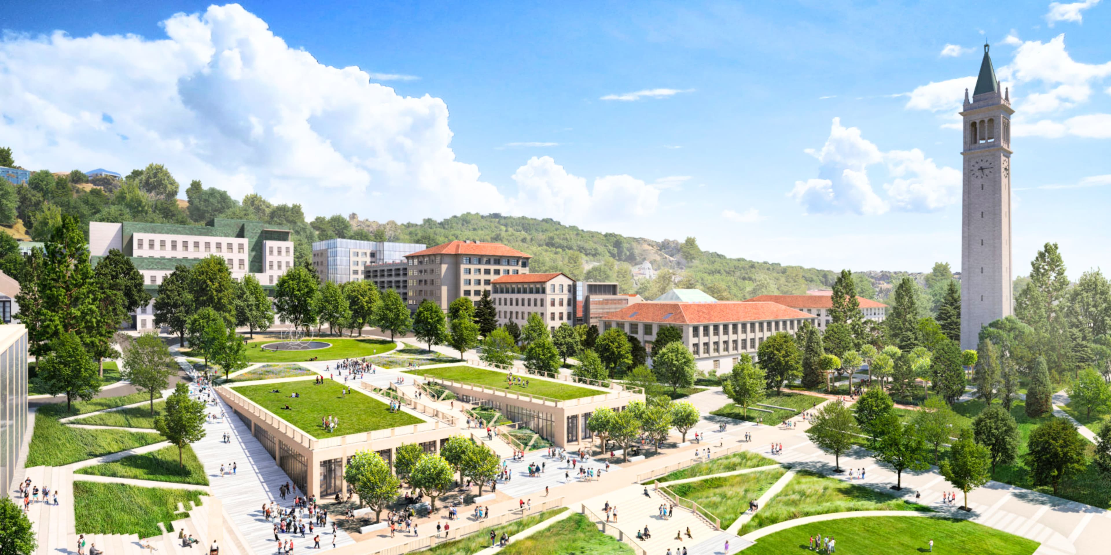 The 10 Best Universities in the US for New Zealand Students