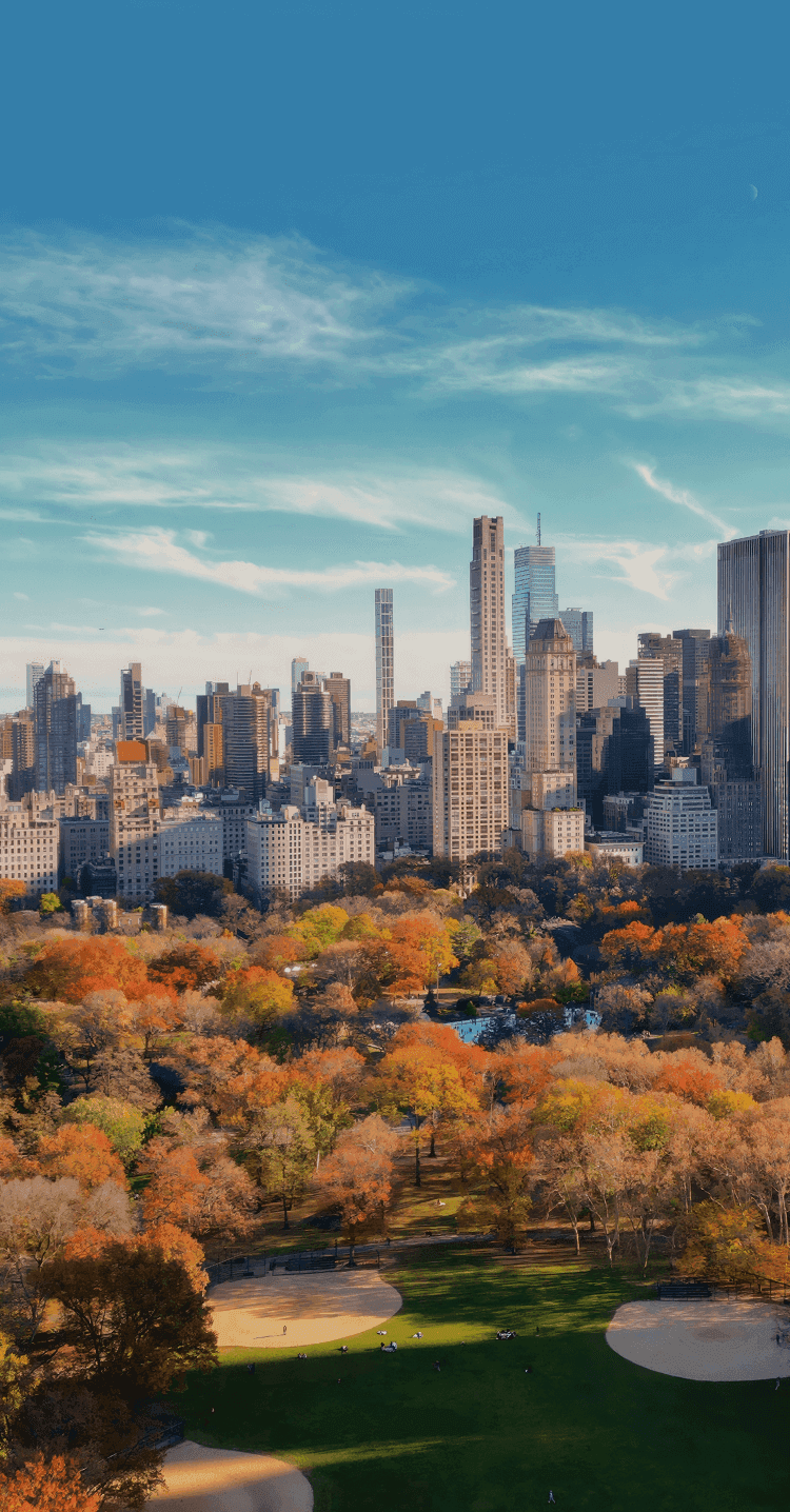 nyc1_mobile_375