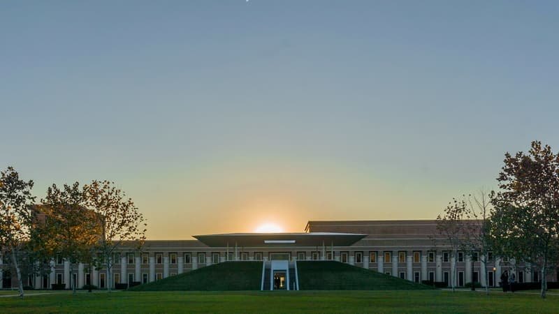 rice university is the 8th best non ivy league school