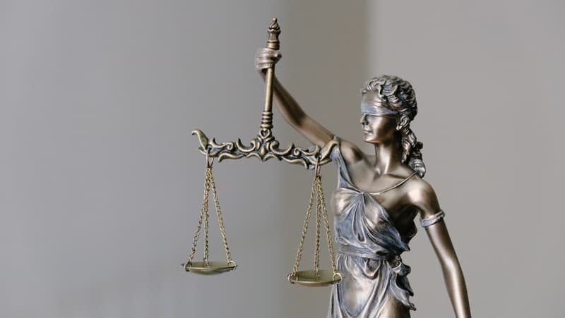 Top 11 Law Schools in the World (2021)