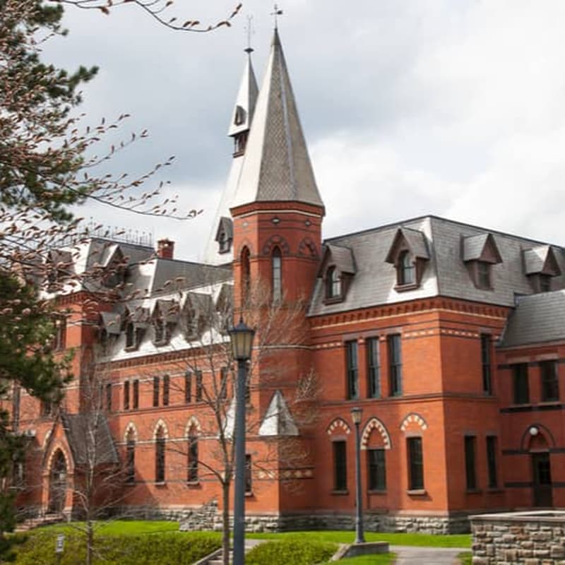 Cornell University Acceptance Rate for Class of 2029