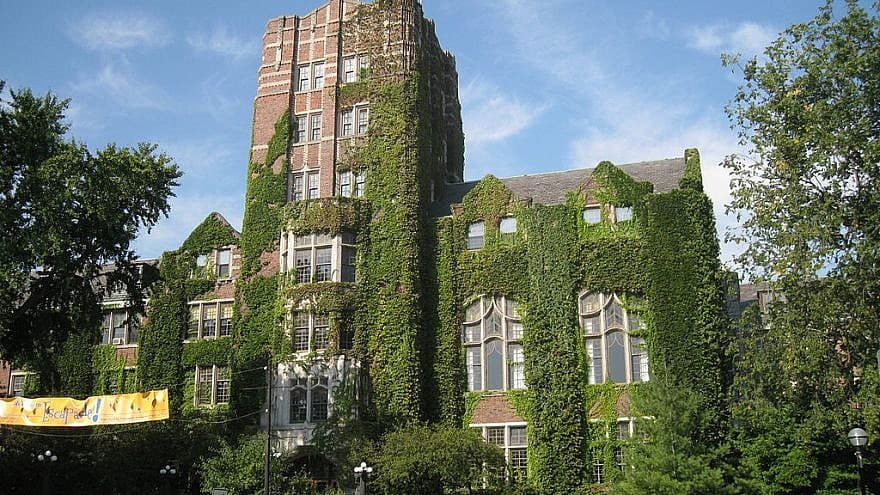 How To Answer U Michigan Supplemental Essays 2024/2025