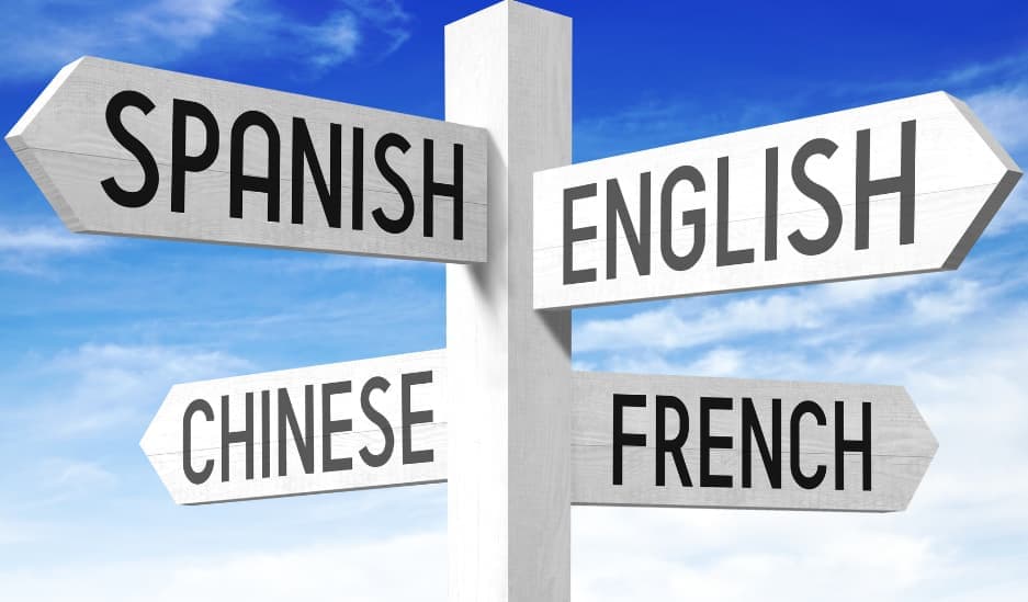 Your Guide to The AP English Language and Composition Exam