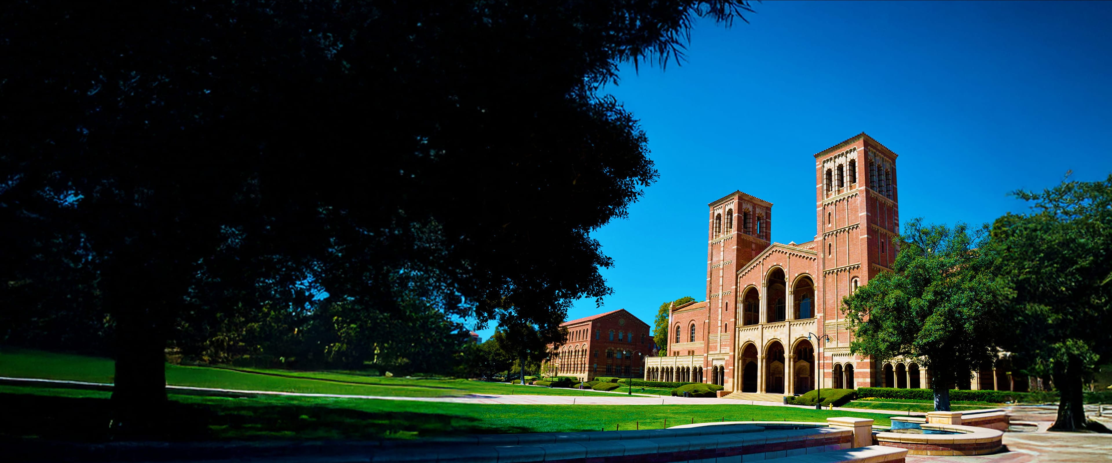 Get into a Top Postgraduate Program with a Plan That Actually Works