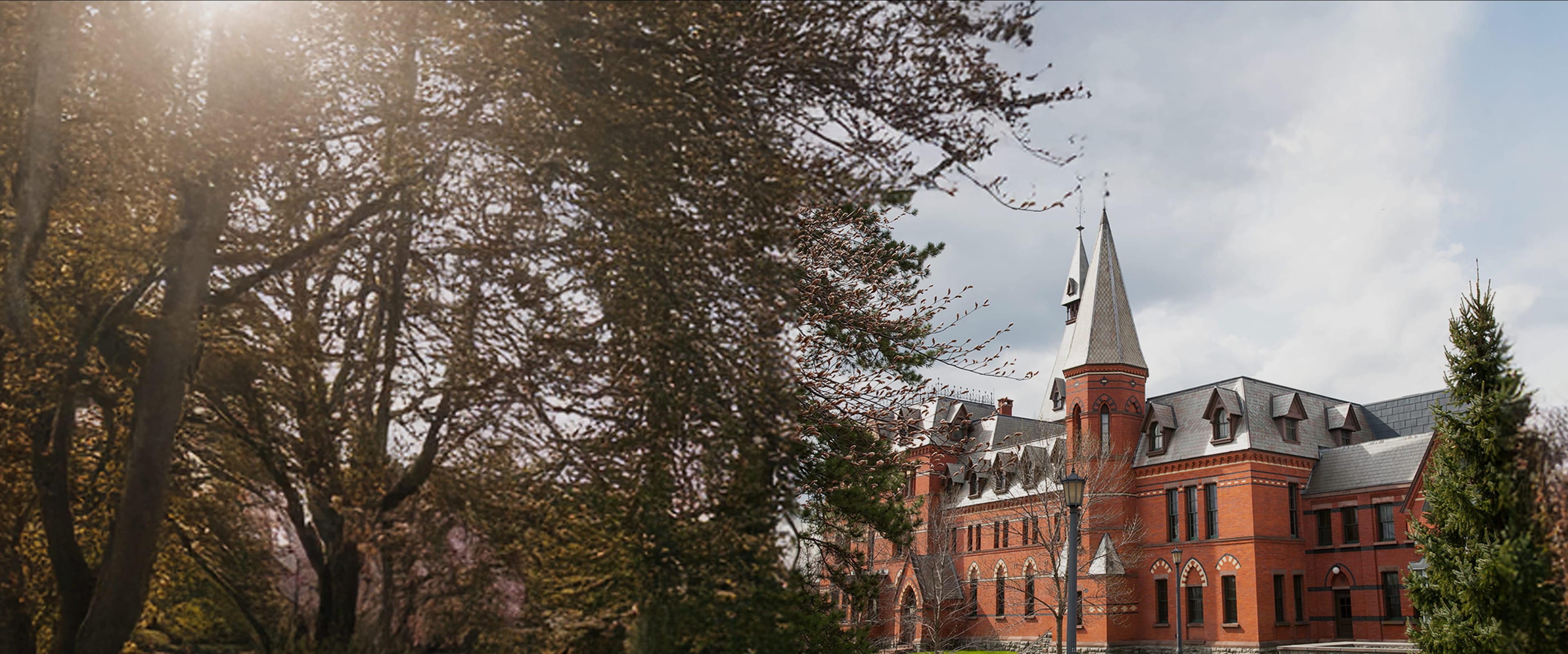 cornell-desktop-1440