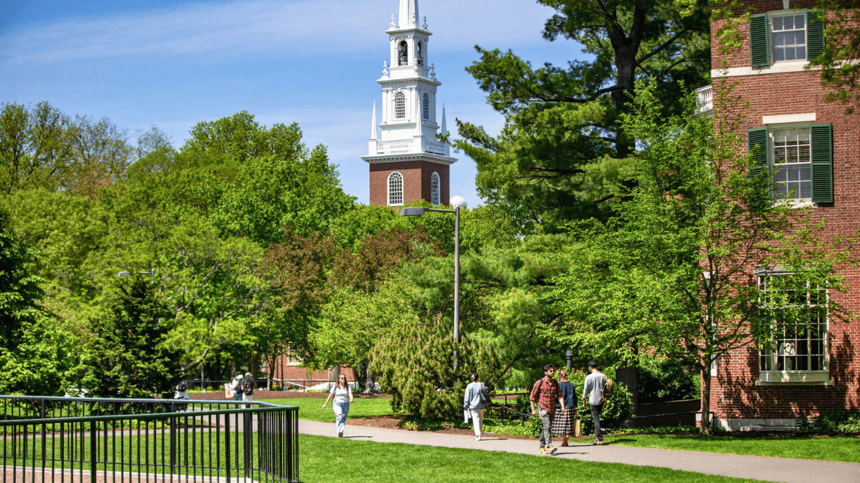 Universidade Harvard: guia completo sobre a instituição