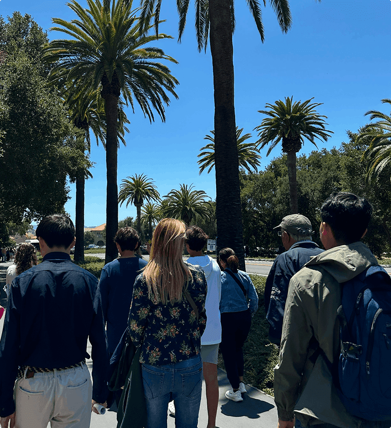 tour-promo-image_people-palm-trees