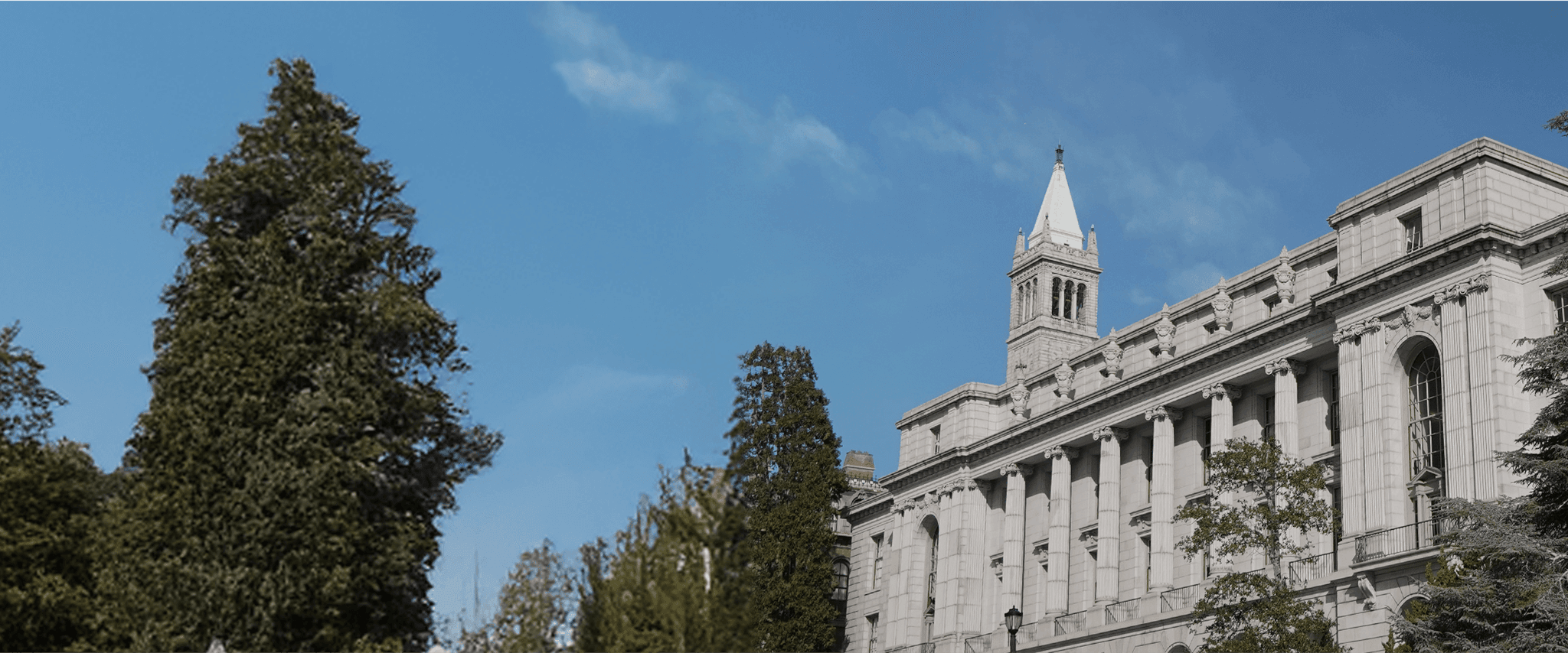 Ess Berkeley Careers